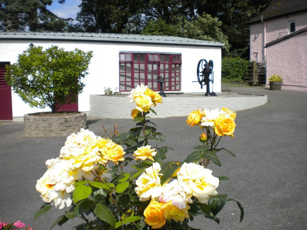 Riversdale Farm B&B Ballinamore Zewnętrze zdjęcie