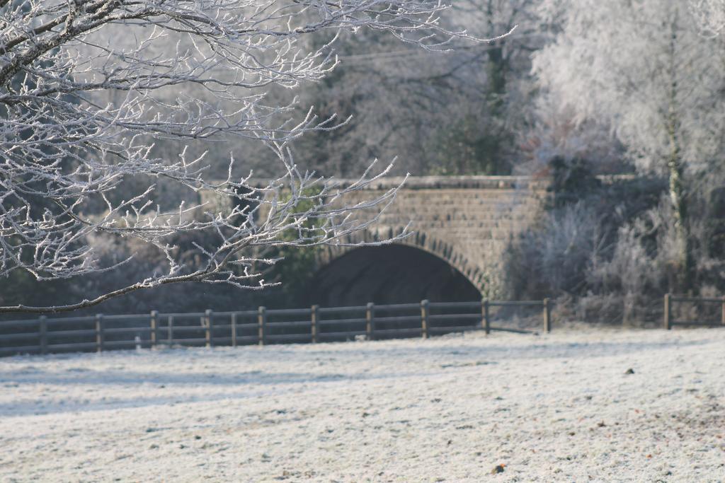 Riversdale Farm B&B Ballinamore Zewnętrze zdjęcie