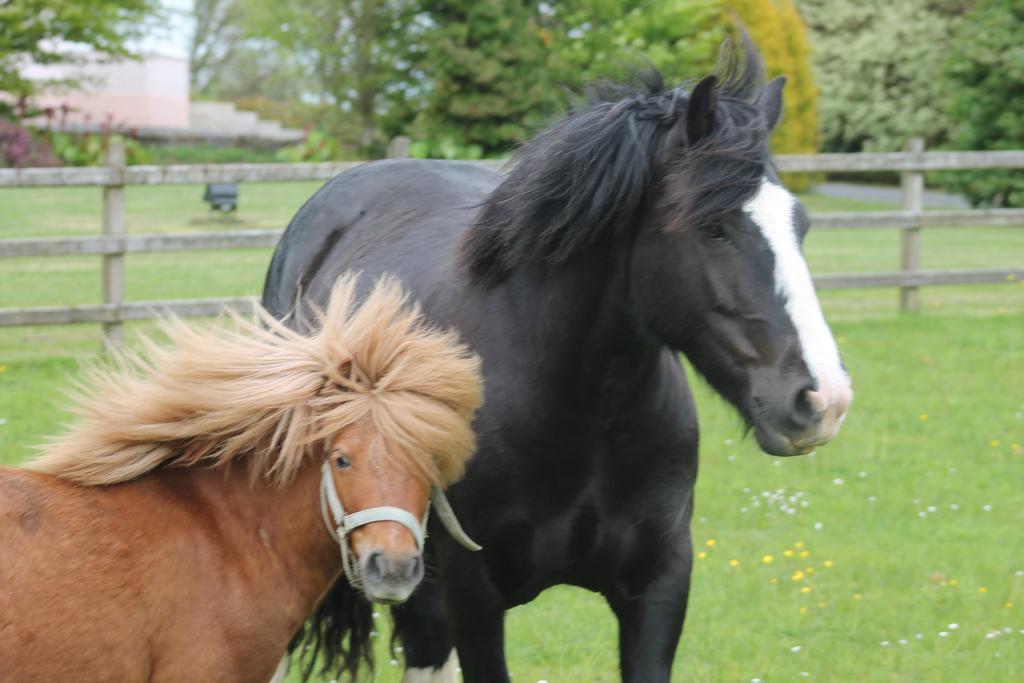 Riversdale Farm B&B Ballinamore Zewnętrze zdjęcie