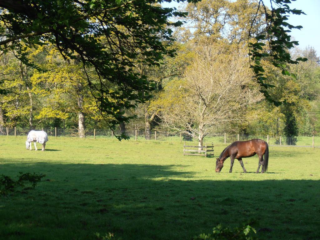 Riversdale Farm B&B Ballinamore Zewnętrze zdjęcie